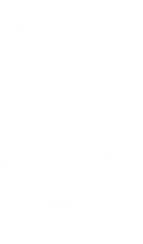 Simple-Green-logotipo
